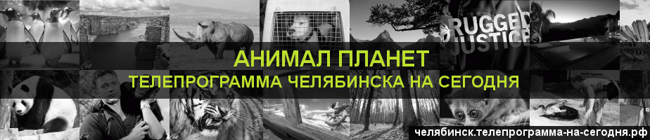 Телепрограмма на сегодня канала Анимал Планет, Челябинск