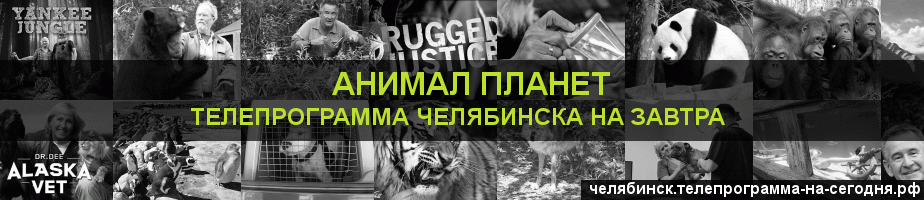 Телепрограмма на завтра канала Анимал Планет, Челябинск