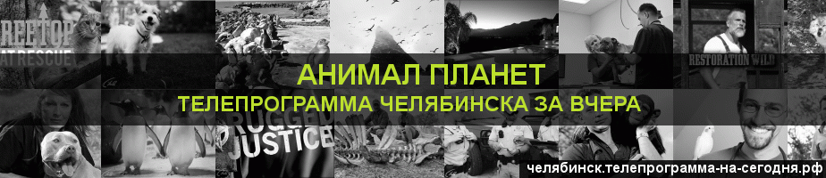 Телепрограмма за вчера канала Анимал Планет, Челябинск